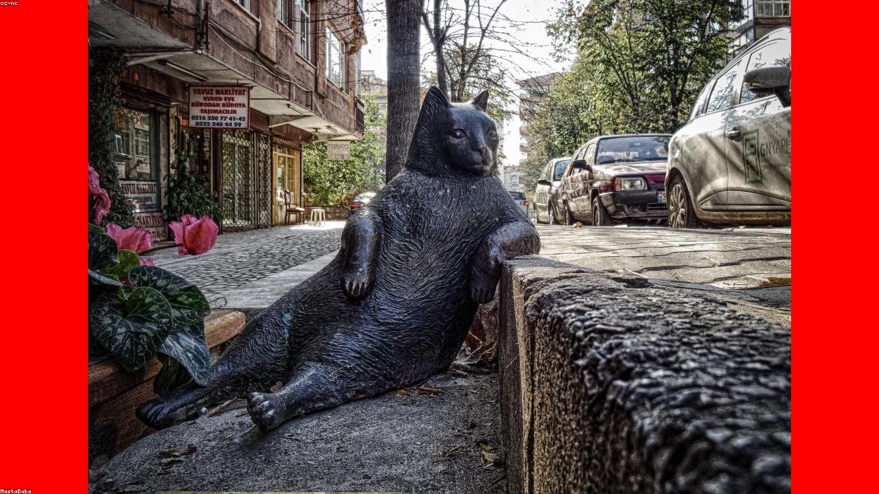Akıllı ev kurulum rehberi